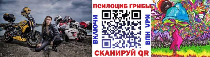 Галлюциногенные грибы MAGIC MUSHROOMS  Купить закладки  Сорочинск 